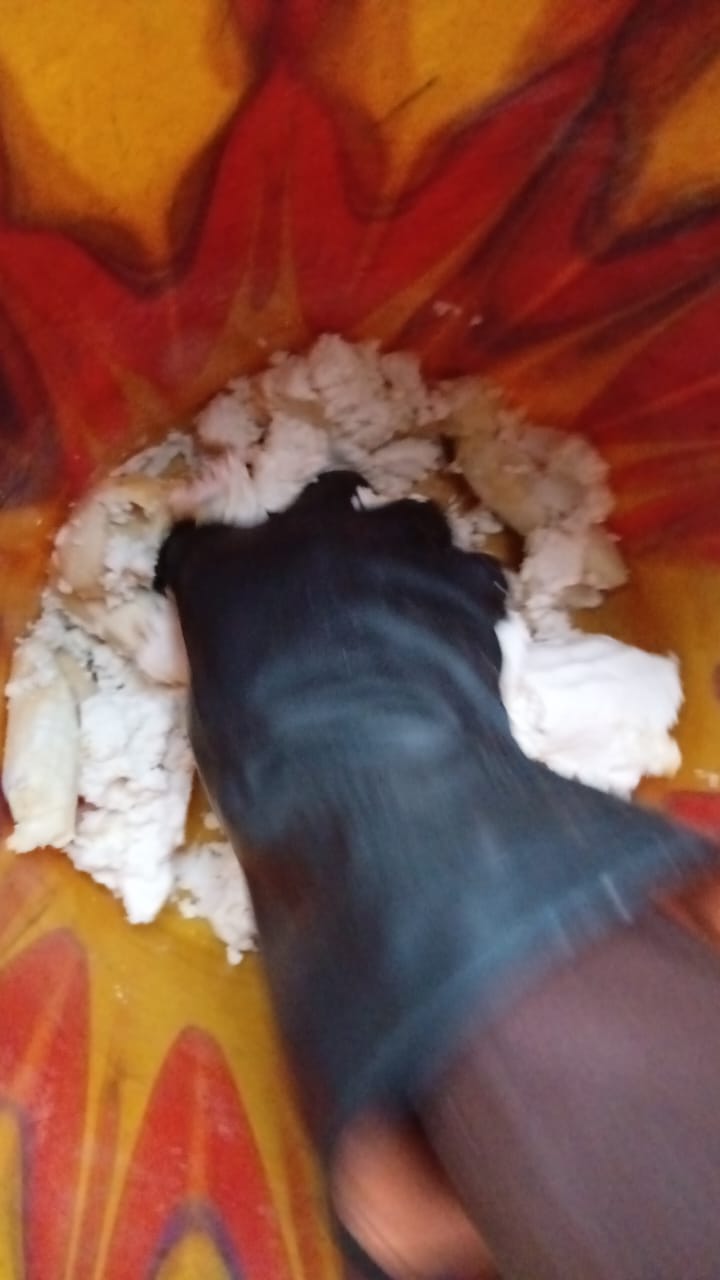 Cassava, banana and chicken feed being mixed for the palm-weevil larvae substrate.