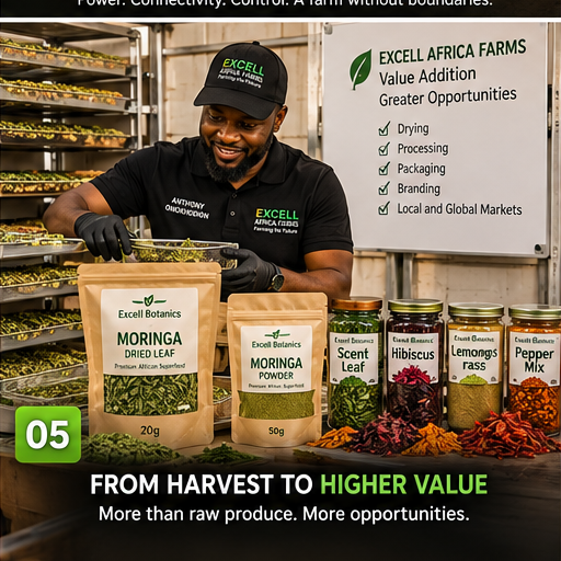 African farm produce transformed through drying, processing, packaging and branding