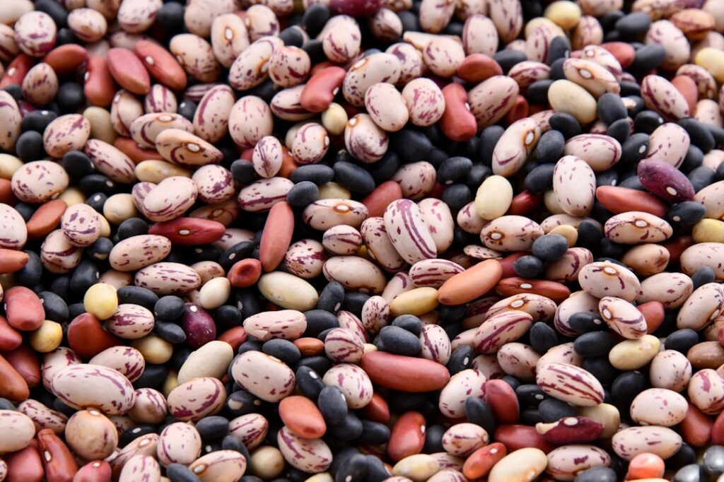 Assorted beans illustrating pulses and digestive tolerance.
