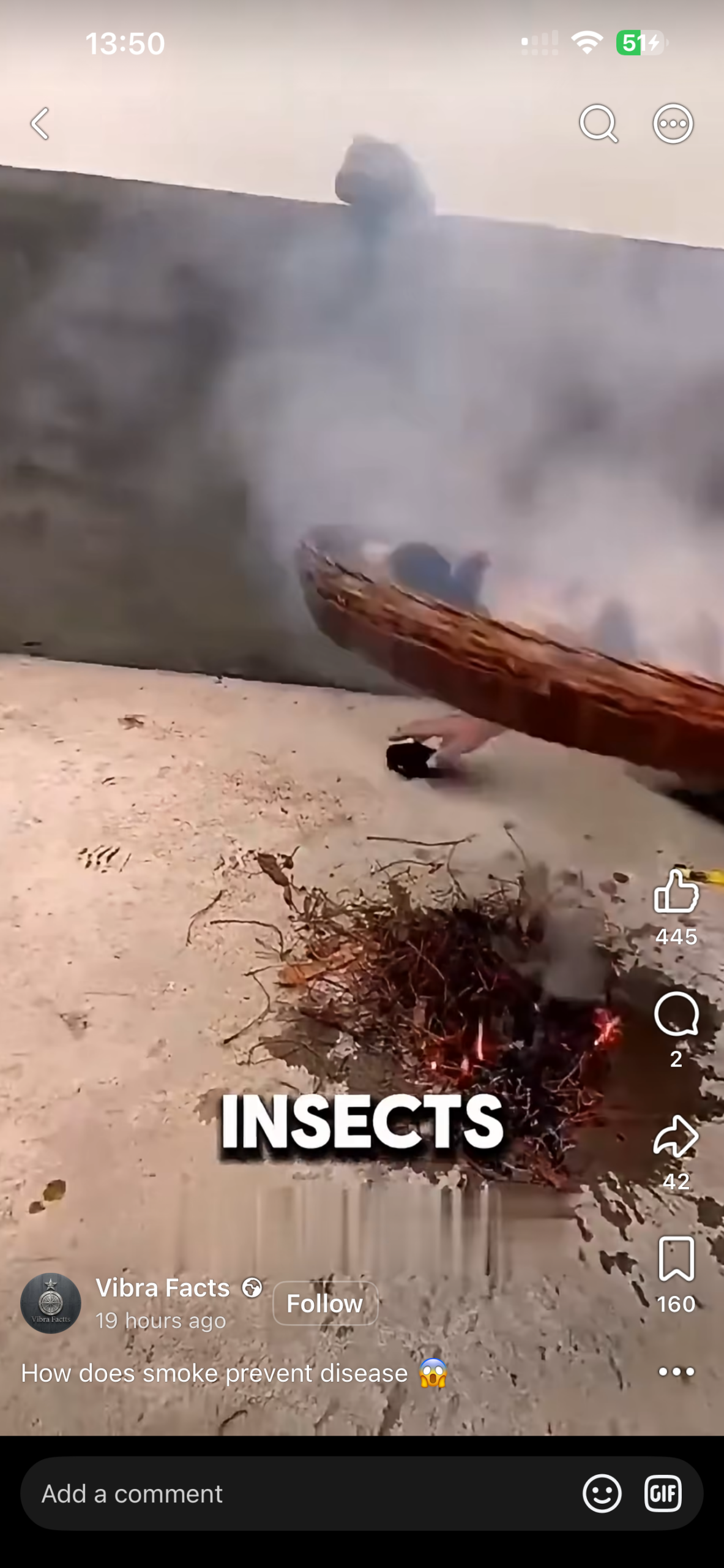 Smouldering leaves used in poultry demonstration