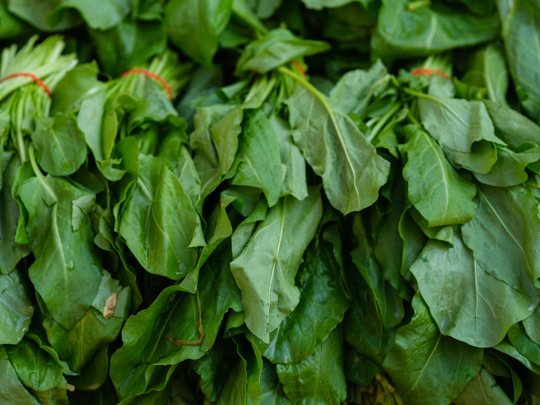 Fresh leafy vegetables illustrating African greens and dietary diversity.