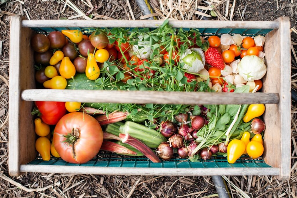 Fresh farm produce illustrating the journey from field to plate.